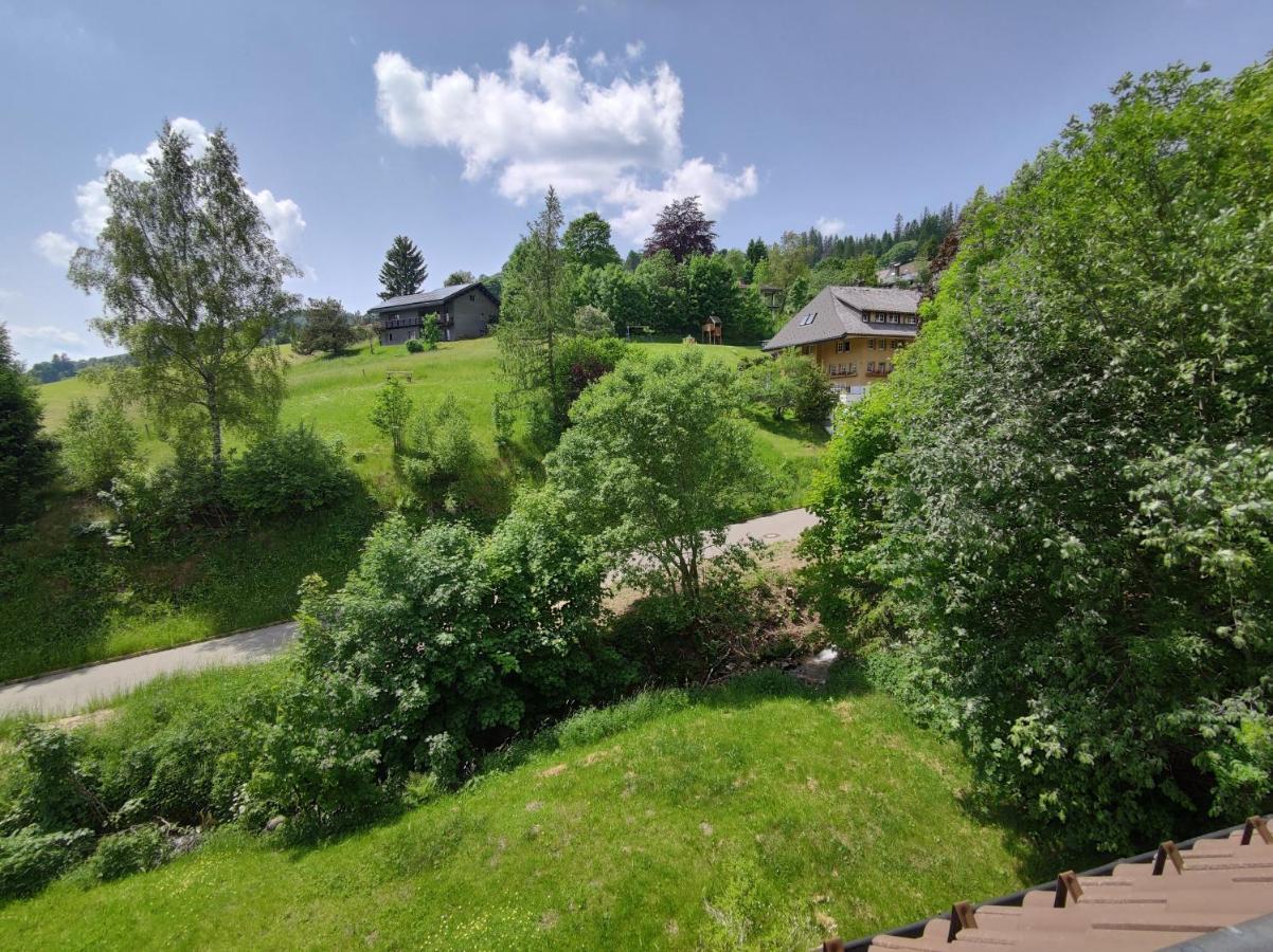 Black Forest Living - Todtnauberg Apartment Exterior photo