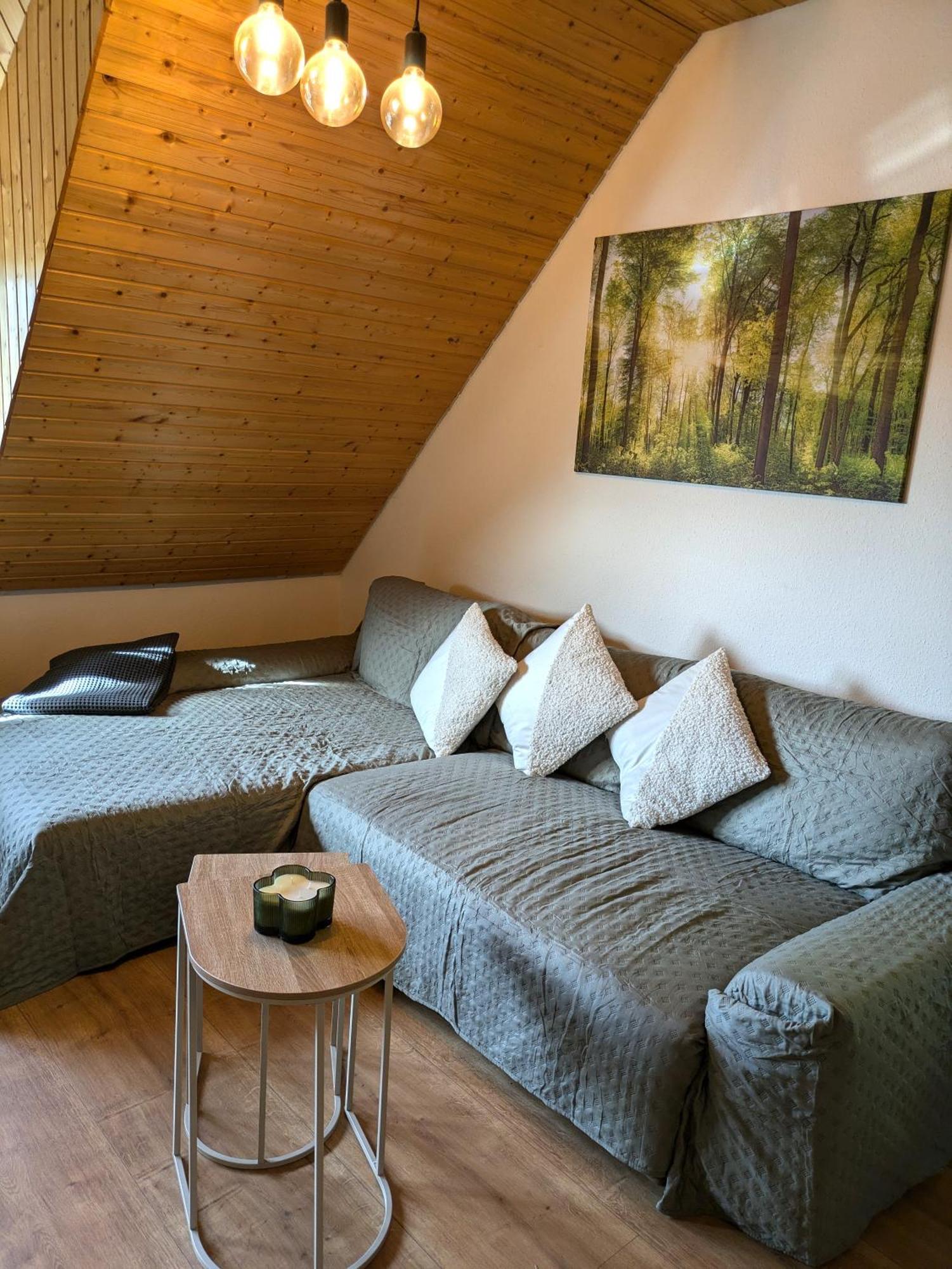 Black Forest Living - Todtnauberg Apartment Exterior photo